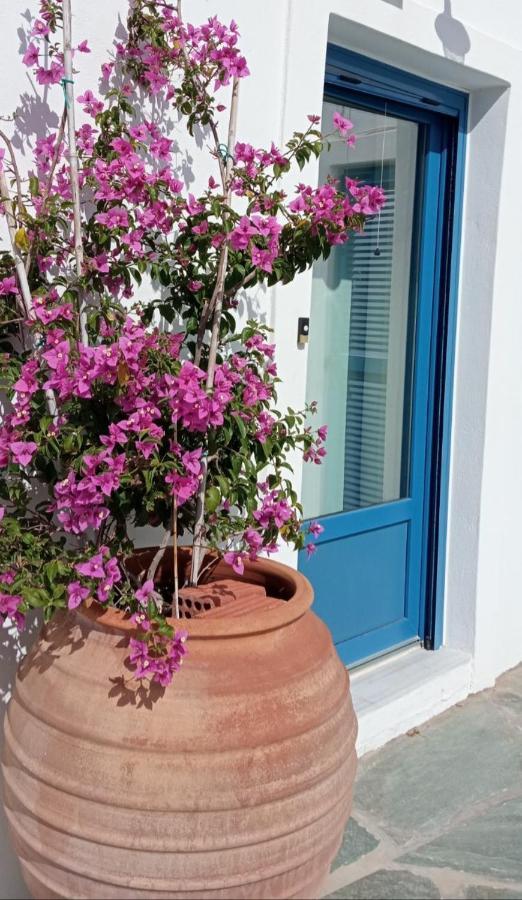 The Veranda Of Gavrion-Exclusive, Centrally Located With Seaview מראה חיצוני תמונה